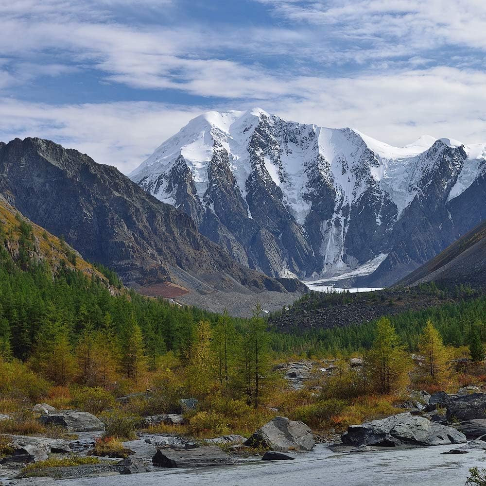 Pure Shilajit from Siberia