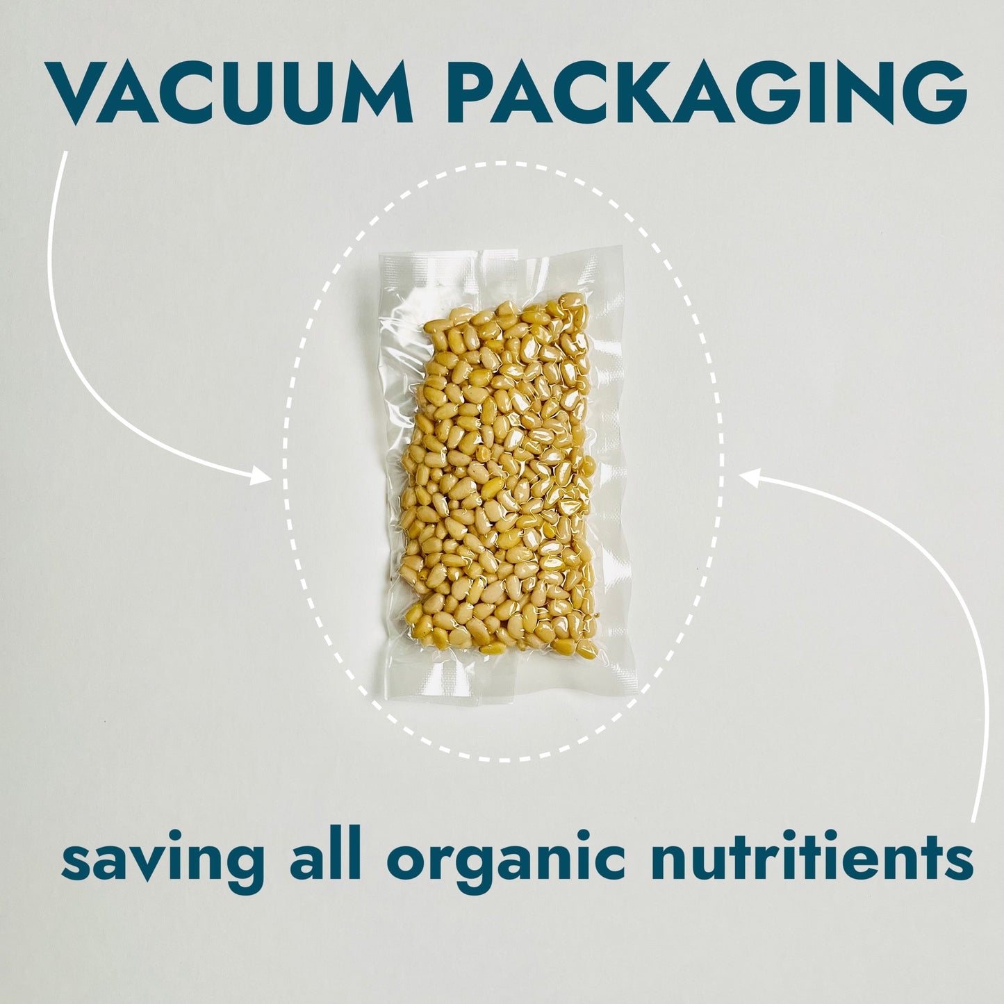 Pine Nuts, Wildly Sourced, 1 oz. / 30 gr. vacuum bags, 30 pcs box