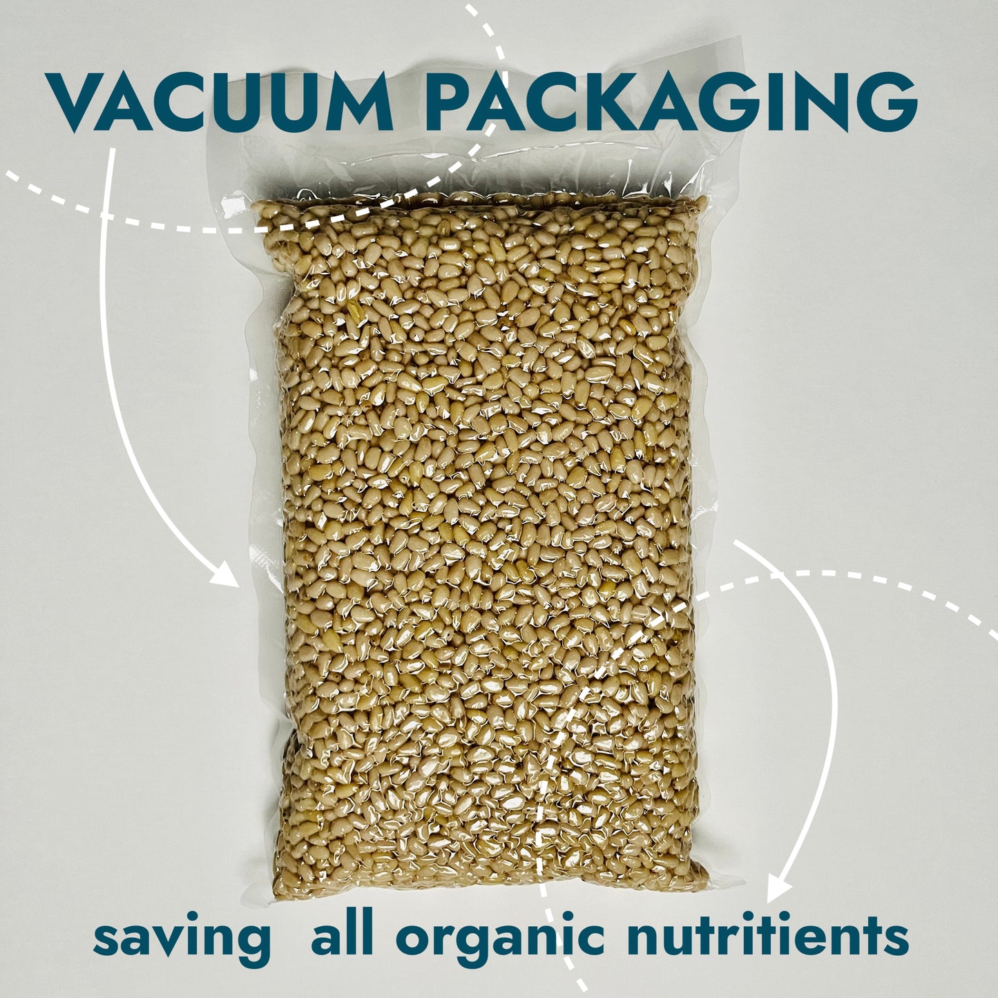 Pine Nuts, Wildly Sourced, 17.6 oz. / 500 gr vacuum bag