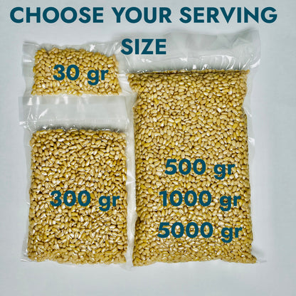 Pine Nuts, Wildly Sourced, 10.5 oz. / 300 gr. vacuum bag